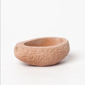 Chen Chen & Kai Williams Avocado Planter
